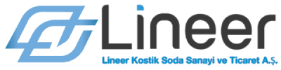 Lineer Kostik Logo